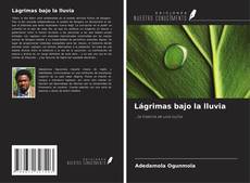 Bookcover of Lágrimas bajo la lluvia