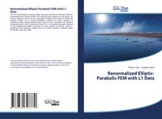 Renormalized Elliptic-Parabolic FEM with L1 Data kitap kapağı