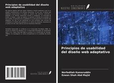 Principios de usabilidad del diseño web adaptativo kitap kapağı