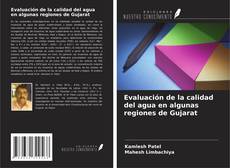 Copertina di Evaluación de la calidad del agua en algunas regiones de Gujarat