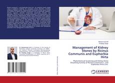 Bookcover of Management of Kidney Stones by Ricinus Communis and Euphorbia Hirta