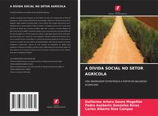 Buchcover von A DÍVIDA SOCIAL NO SETOR AGRÍCOLA
