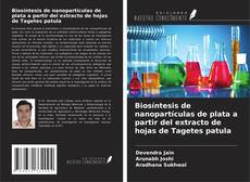 Copertina di Biosíntesis de nanopartículas de plata a partir del extracto de hojas de Tagetes patula