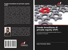 Обложка Fondo brasiliano di private equity (FIP)