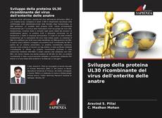 Sviluppo della proteina UL30 ricombinante del virus dell'enterite delle anatre的封面