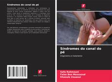 Обложка Síndromes do canal do pé