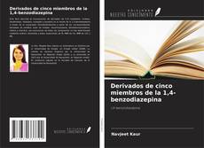 Обложка Derivados de cinco miembros de la 1,4-benzodiazepina