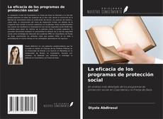 Обложка La eficacia de los programas de protección social