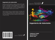 Ingeniería de televisión kitap kapağı