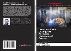 Bookcover of Credit Risk and Delinquent Accounts Management Process