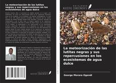 La meteorización de las lutitas negras y sus repercusiones en los ecosistemas de agua dulce的封面