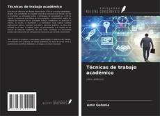 Обложка Técnicas de trabajo académico