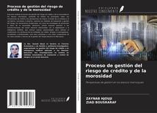 Portada del libro de Proceso de gestión del riesgo de crédito y de la morosidad