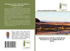 Borítókép a  Mwangaza, entre l'odeur du village et le parfum de la ville - hoz