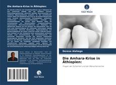 Couverture de Die Amhara-Krise in Äthiopien: