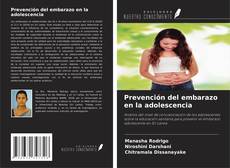 Portada del libro de Prevención del embarazo en la adolescencia