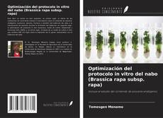 Copertina di Optimización del protocolo in vitro del nabo (Brassica rapa subsp. rapa)