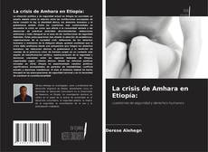 Capa do livro de La crisis de Amhara en Etiopía: 