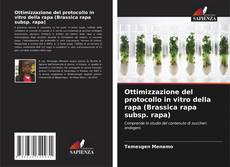 Обложка Ottimizzazione del protocollo in vitro della rapa (Brassica rapa subsp. rapa)