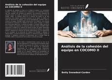 Обложка Análisis de la cohesión del equipo en COCOMO II
