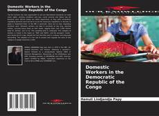 Borítókép a  Domestic Workers in the Democratic Republic of the Congo - hoz
