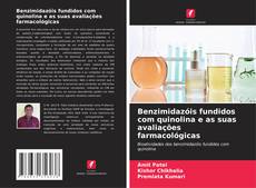 Copertina di Benzimidazóis fundidos com quinolina e as suas avaliações farmacológicas