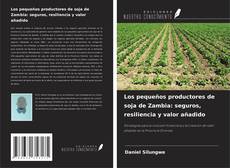 Обложка Los pequeños productores de soja de Zambia: seguros, resiliencia y valor añadido
