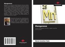 Обложка Manganese