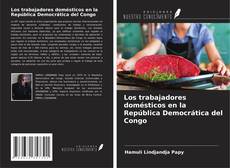 Обложка Los trabajadores domésticos en la República Democrática del Congo