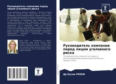 Copertina di Руководитель компании перед лицом уголовного риска