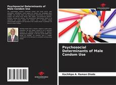 Обложка Psychosocial Determinants of Male Condom Use
