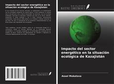 Impacto del sector energético en la situación ecológica de Kazajistán的封面