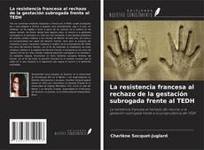 La resistencia francesa al rechazo de la gestación subrogada frente al TEDH的封面