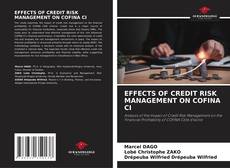 EFFECTS OF CREDIT RISK MANAGEMENT ON COFINA CI的封面