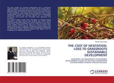 THE COST OF HESITATION: LOSS TO GRASSROOTS SUSTAINABLE DEVELOPMENT kitap kapağı