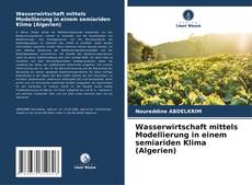 Portada del libro de Wasserwirtschaft mittels Modellierung in einem semiariden Klima (Algerien)