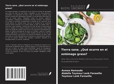 Tierra sana. ¿Qué ocurre en el estómago graso?的封面