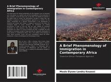 Copertina di A Brief Phenomenology of Immigration in Contemporary Africa