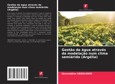 Copertina di Gestão da água através da modelação num clima semiárido (Argélia)
