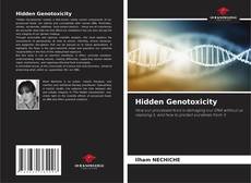 Bookcover of Hidden Genotoxicity