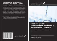 Buchcover von Cromatografía: Fundamentos, métodos y aplicaciones - Parte II