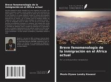 Bookcover of Breve fenomenología de la inmigración en el África actual