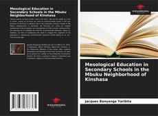 Copertina di Mesological Education in Secondary Schools in the Mbuku Neighborhood of Kinshasa