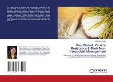Borítókép a  Rice Weevil: Varietal Resistance & Their Non-Insecticidal Management - hoz