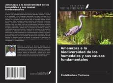 Bookcover of Amenazas a la biodiversidad de los humedales y sus causas fundamentales