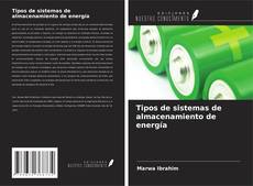 Tipos de sistemas de almacenamiento de energía的封面