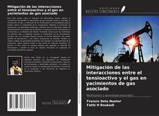 Обложка Mitigación de las interacciones entre el tensioactivo y el gas en yacimientos de gas asociado