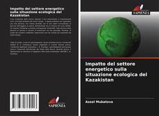 Impatto del settore energetico sulla situazione ecologica del Kazakistan的封面