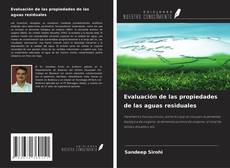 Evaluación de las propiedades de las aguas residuales的封面