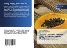 Bookcover of Quinoline Yellow Dye Removal Using Carica papaya-Derived AlO NPs